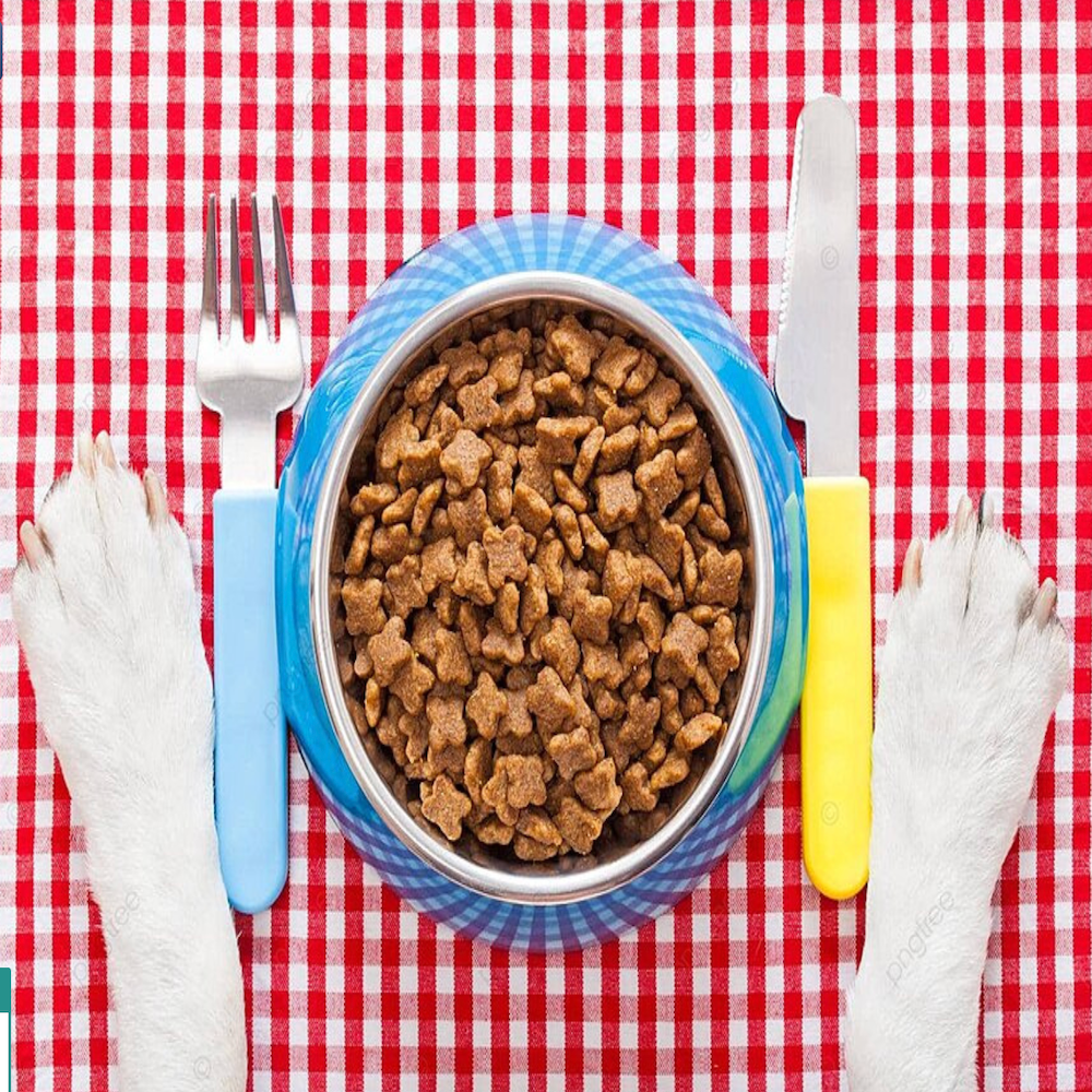 Ready for a premium meal. Source trusted, human-grade consumables with verified [FV-02C] suppliers.